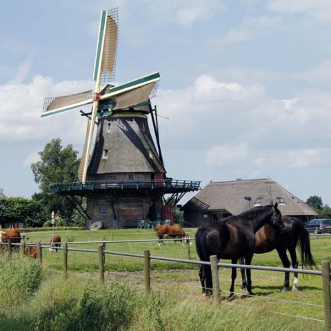 omgeving3