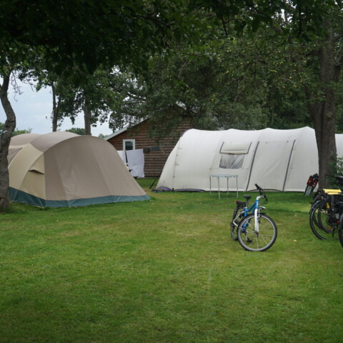 Camping